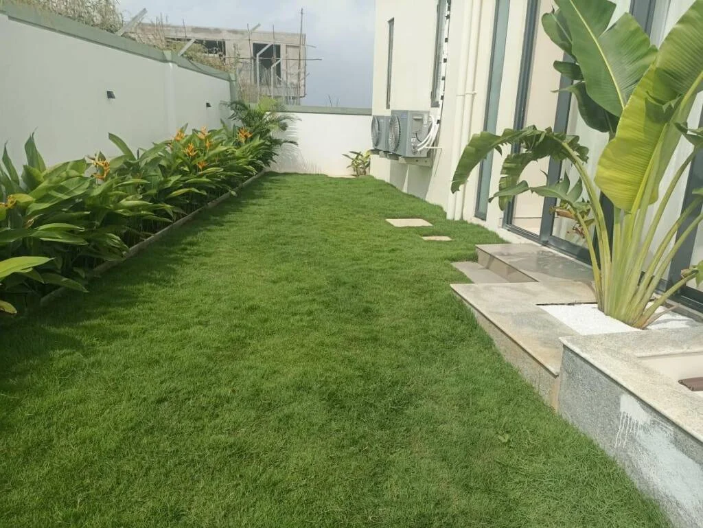Ridhira Zen exterior form and landscape integration